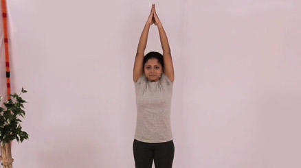 Fitness Yoga Program 1